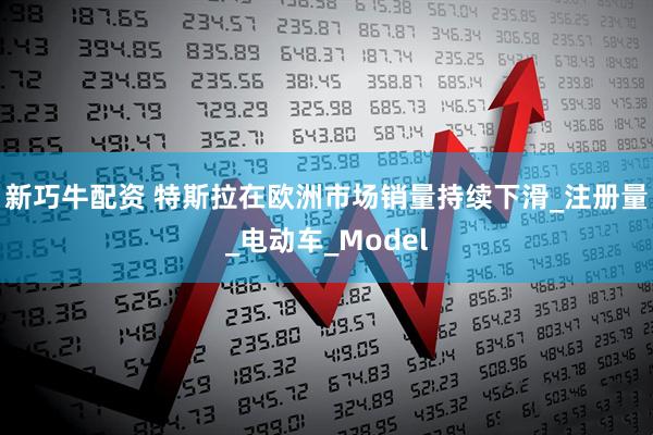 新巧牛配资 特斯拉在欧洲市场销量持续下滑_注册量_电动车_Model